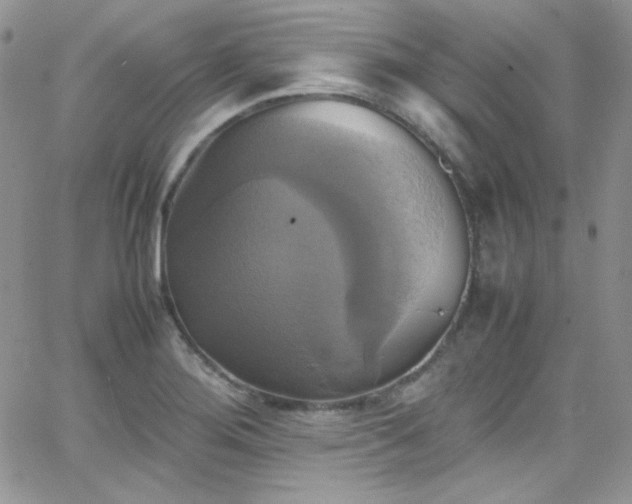 X0000066521276200603201314