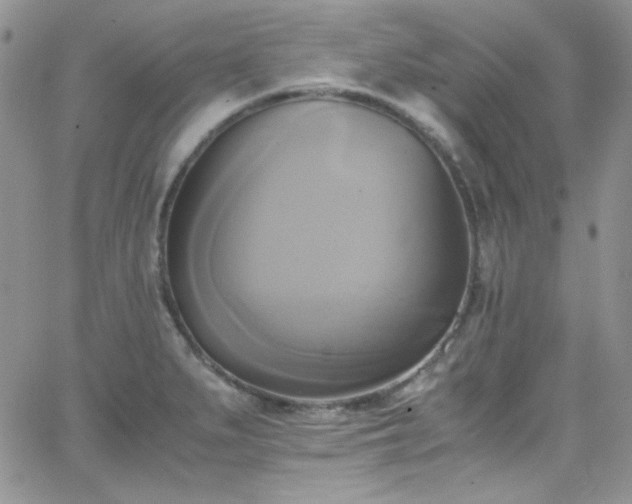 X0000066521279200603201314