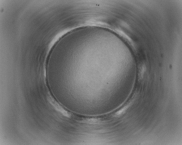 X0000066521280200603201314