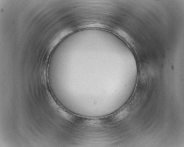 X0000066521282200603201314