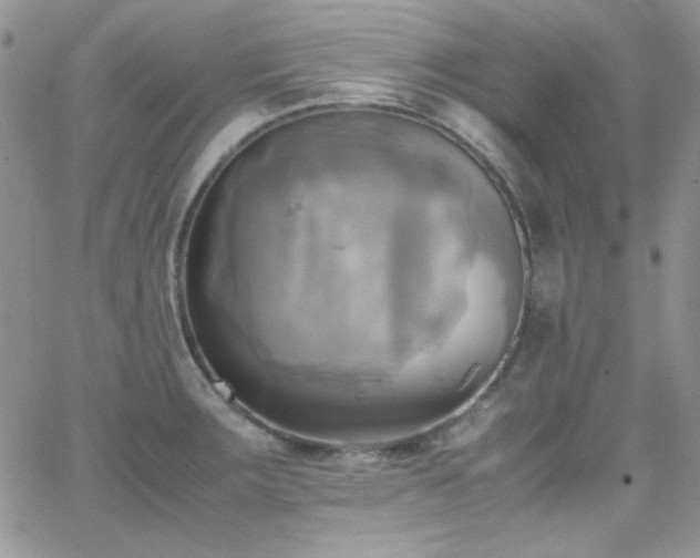 X0000066521283200603201314