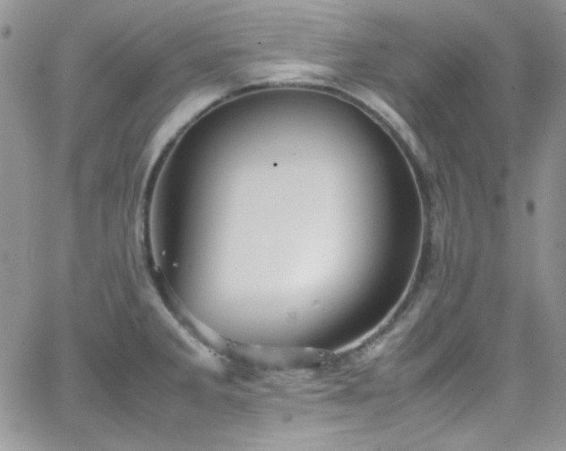 X0000066521285200603201314