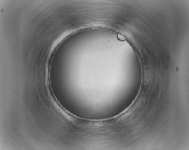 X0000066521286200603201314