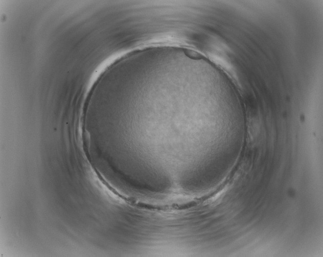 X0000066521288200603201314