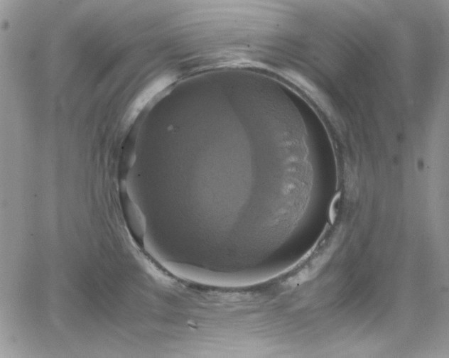 X0000066521289200603201314