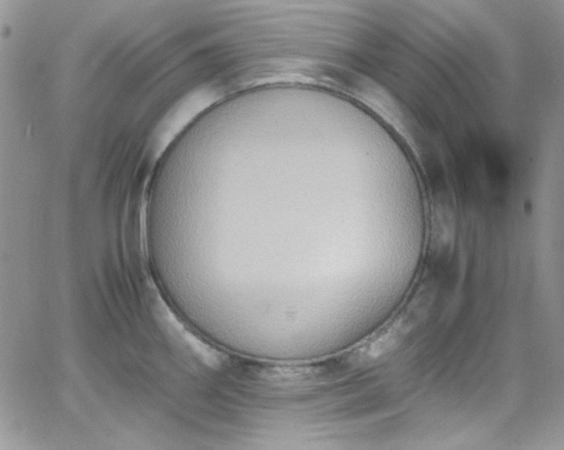 X0000066521290200603201314