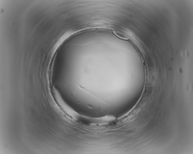 X0000066521291200603201314