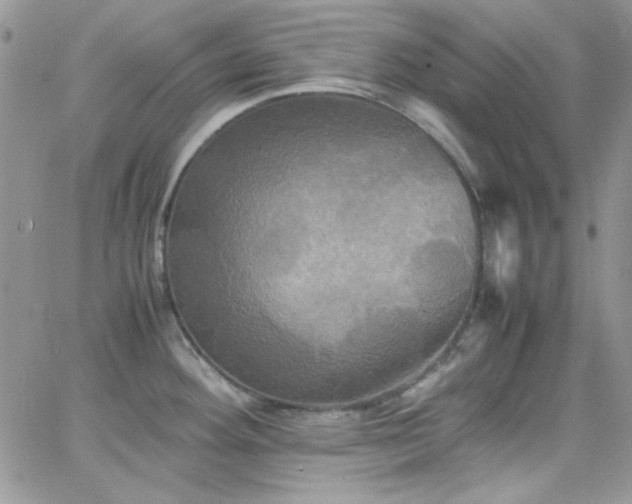 X0000066521292200603201314