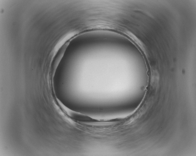 X0000066521293200603201314