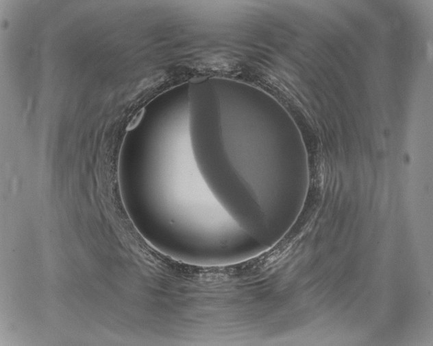 X0000066521297200603201313