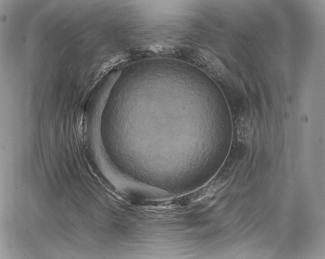 X0000066521298200603201313