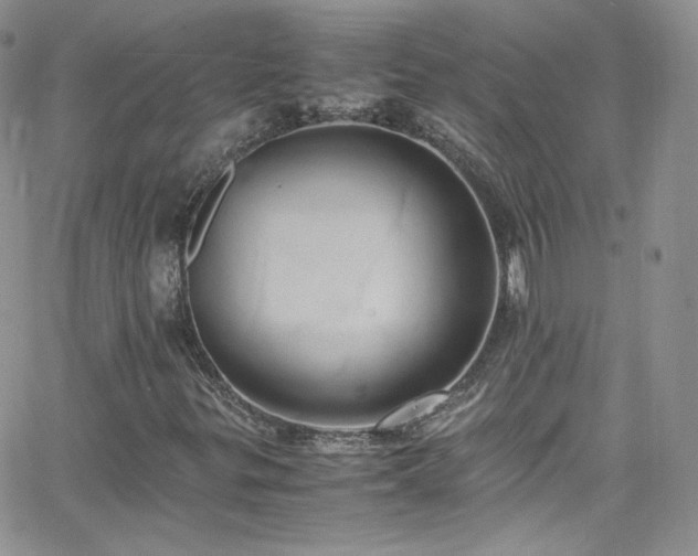 X0000066521299200603201313