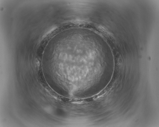 X0000066521302200603201313