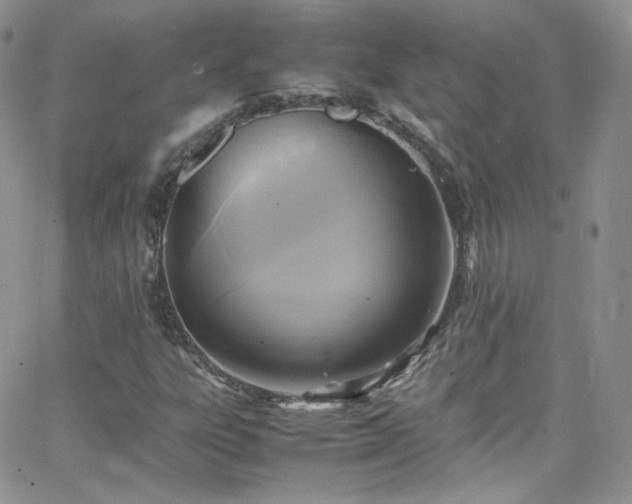 X0000066521303200603201313