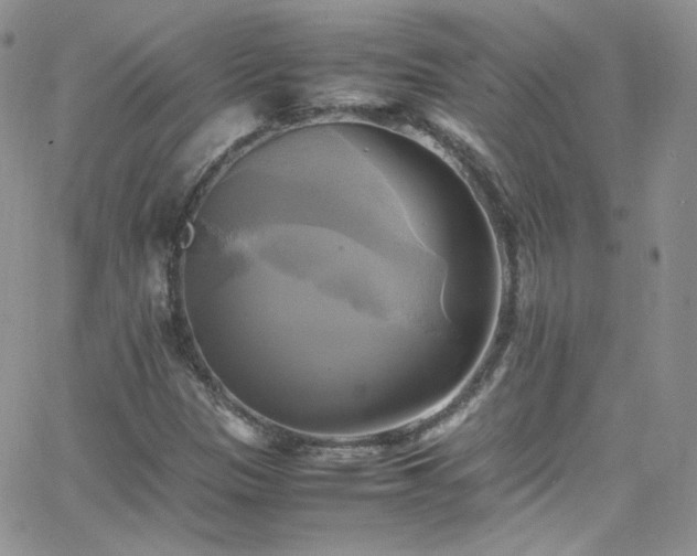 X0000066521305200603201313