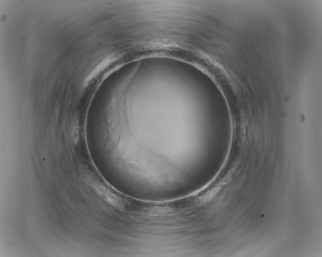 X0000066521306200603201313