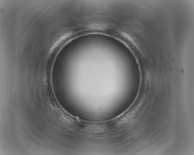 X0000066521307200603201313