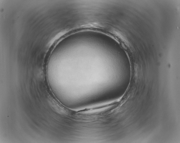 X0000066521308200603201313