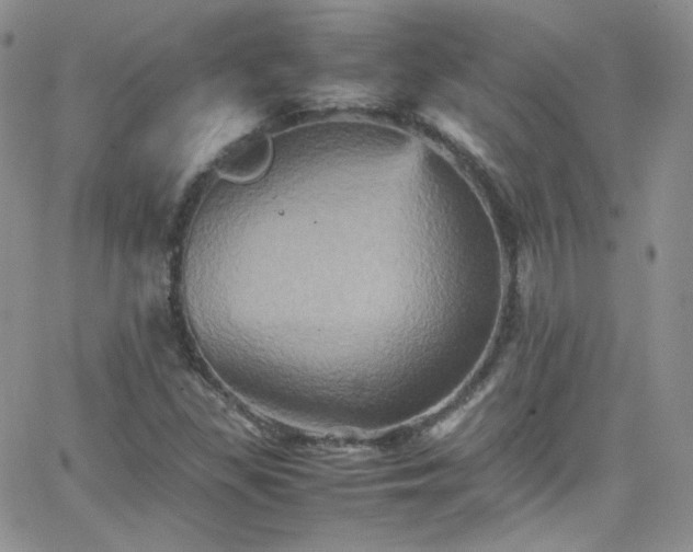 X0000066521309200603201313