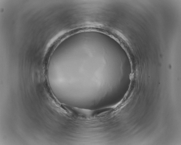 X0000066521310200603201313