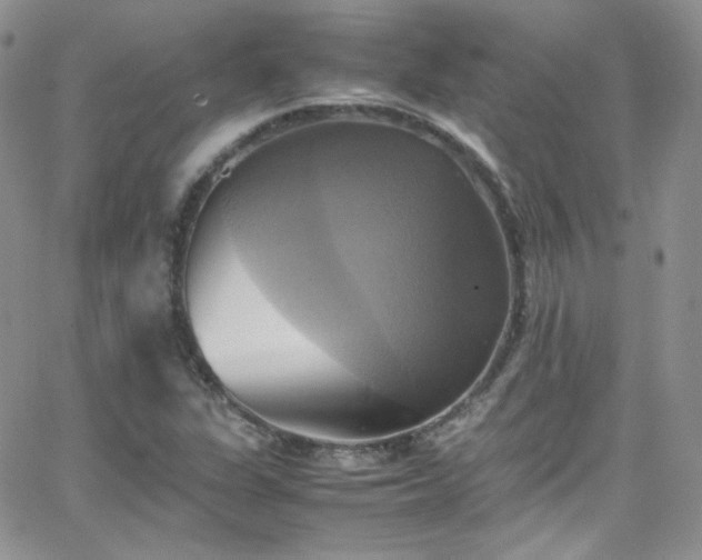 X0000066521311200603201313