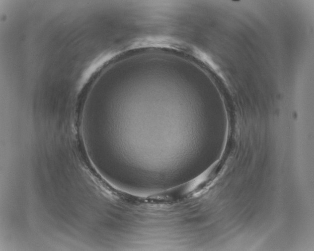 X0000066521312200603201313