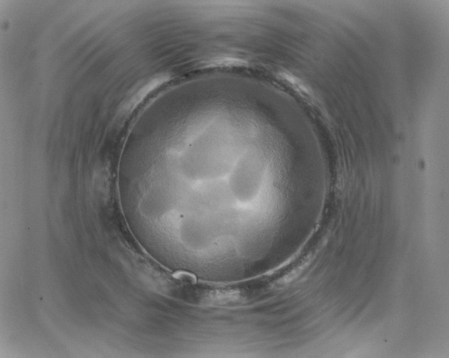 X0000066521313200603201313