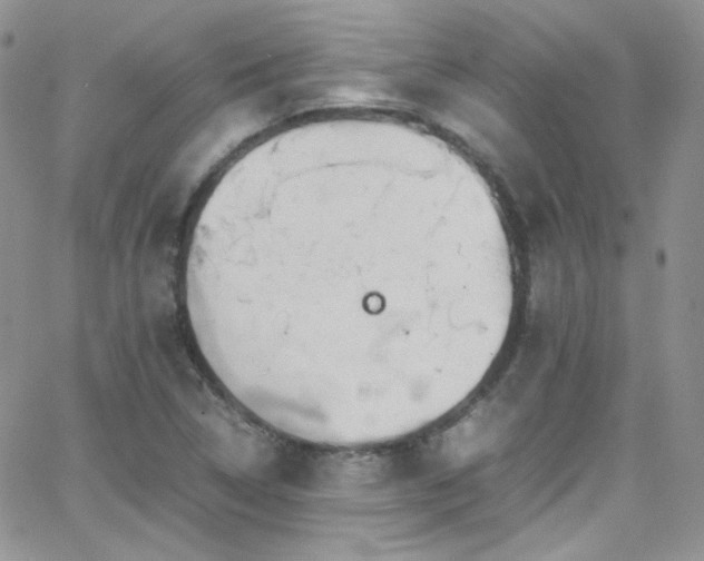 X0000066521314200603201313