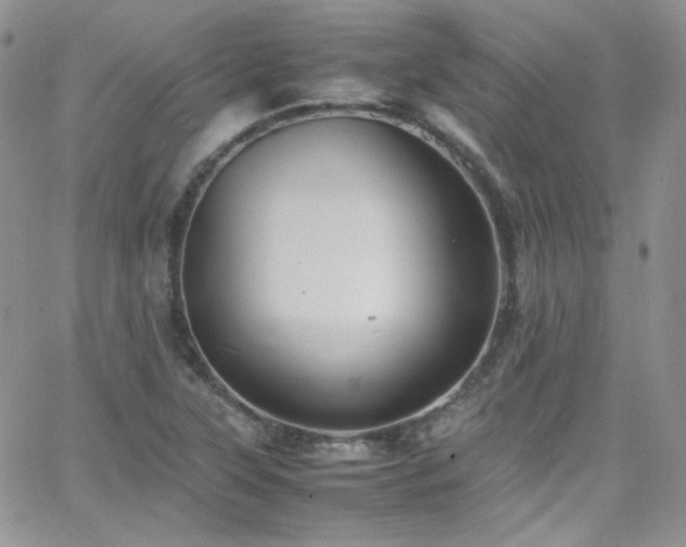 X0000066521315200603201313