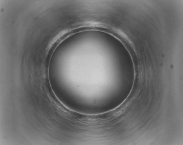 X0000066521318200603201313