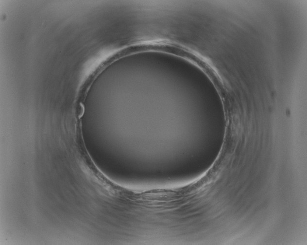 X0000066521319200603201313