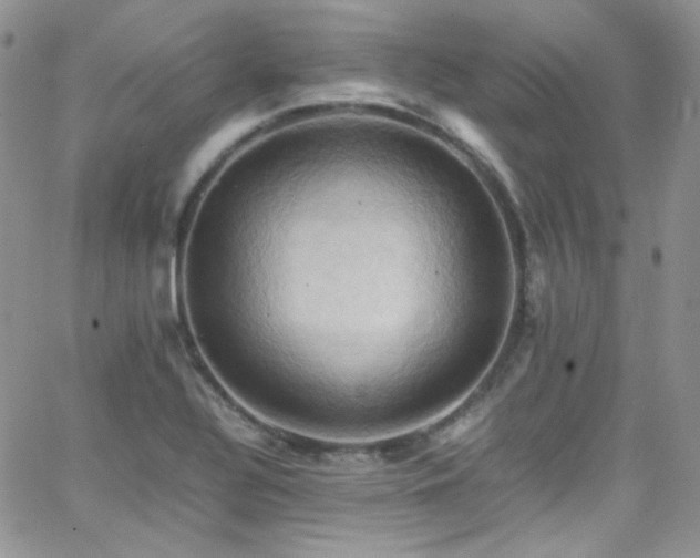 X0000066521320200603201313