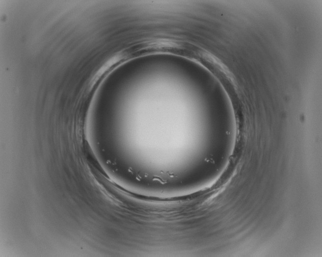 X0000066521321200603201313