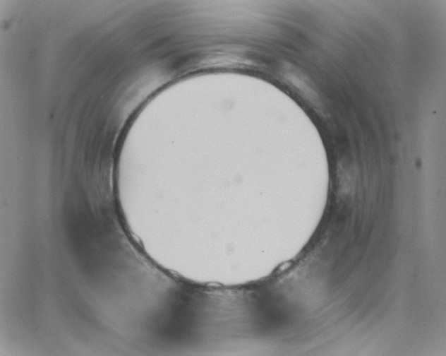 X0000066521322200603201313