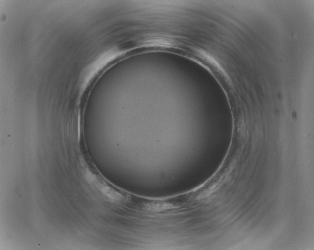 X0000066521323200603201313