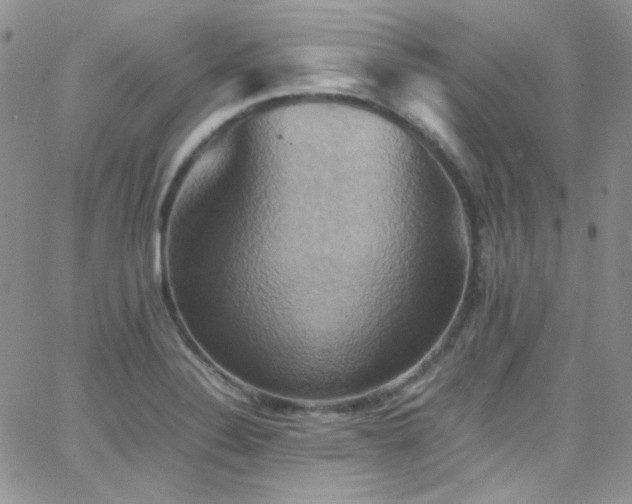 X0000066521324200603201313