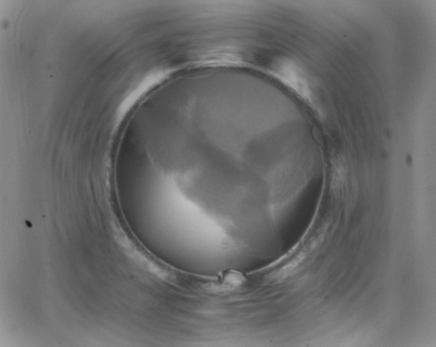 X0000066521325200603201313