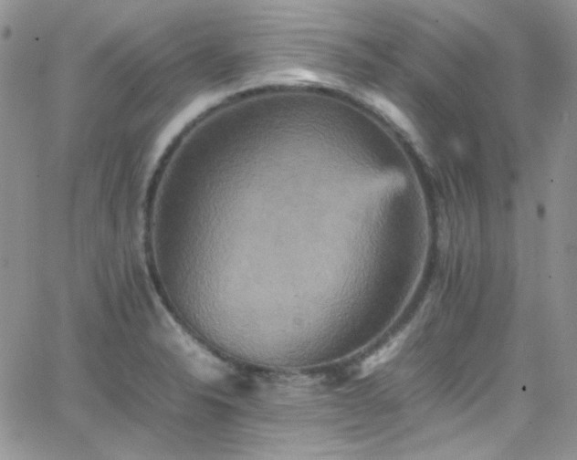 X0000066521326200603201314