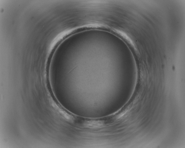 X0000066521327200603201314