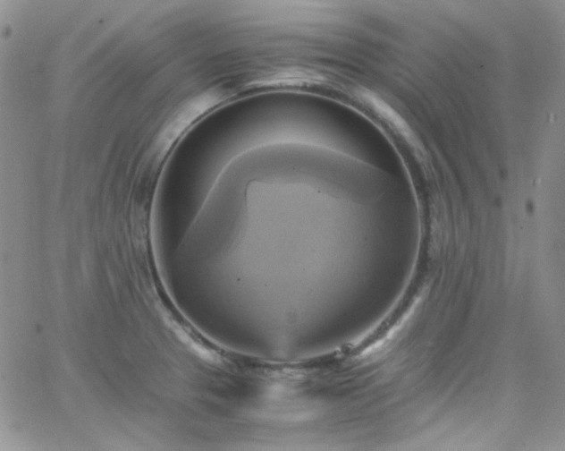 X0000066521329200603201314