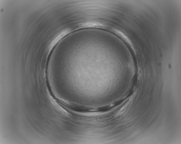 X0000066521330200603201314