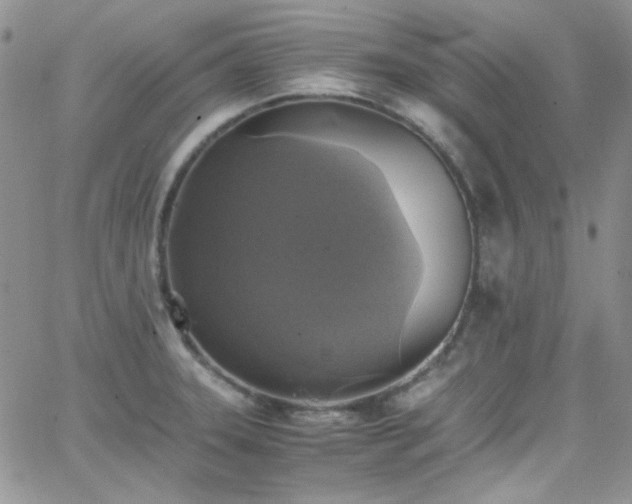 X0000066521331200603201314