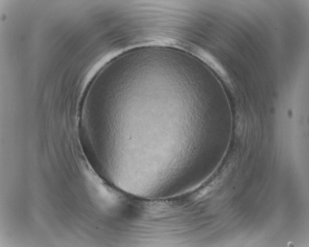 X0000066521332200603201314