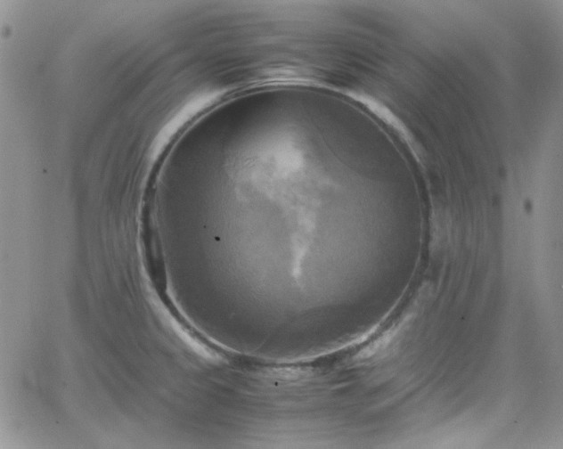 X0000066521333200603201314