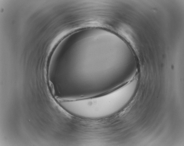 X0000066521334200603201314