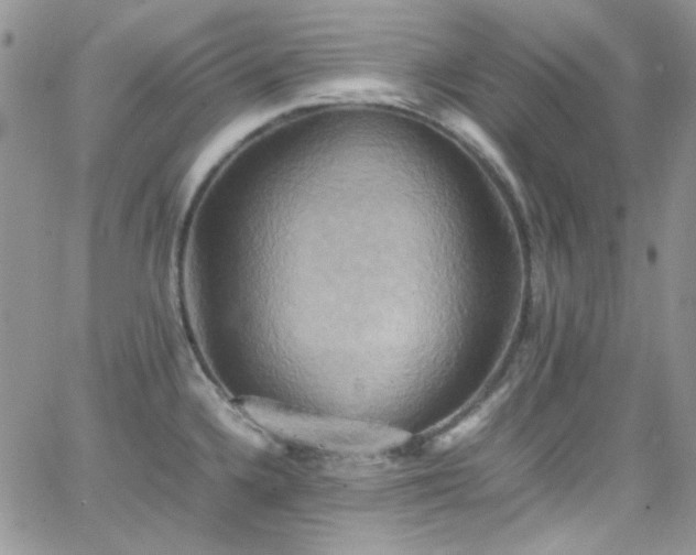 X0000066521336200603201314