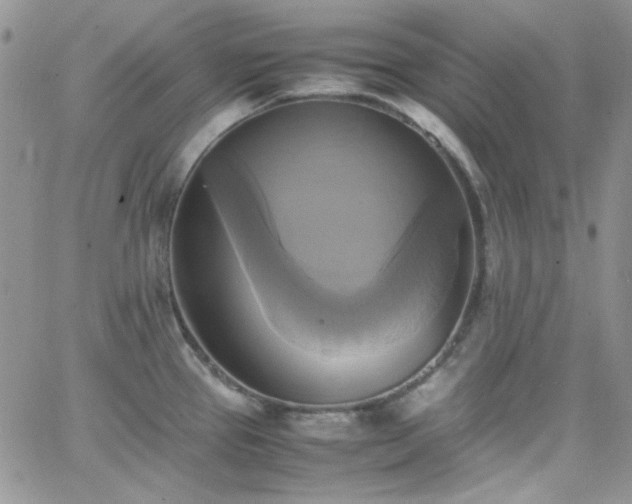 X0000066521337200603201314