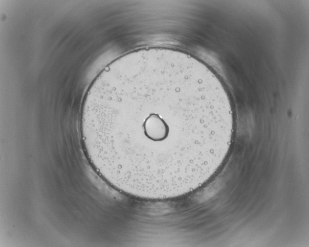 X0000066521338200603201314