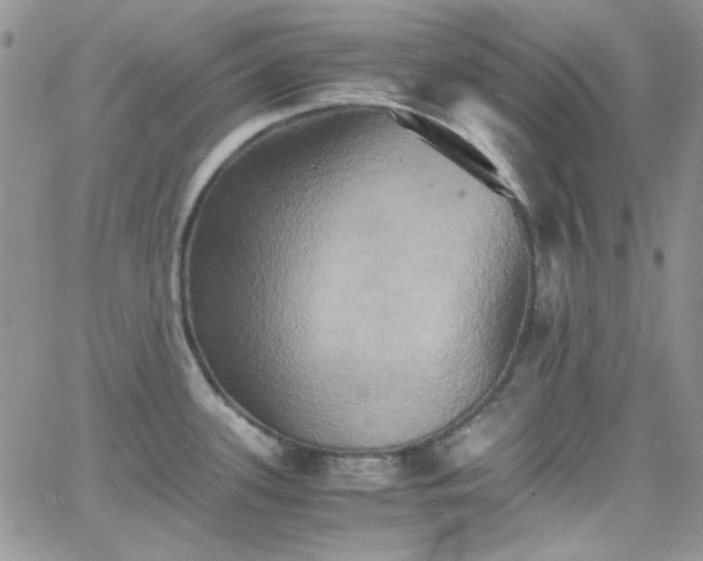 X0000066521339200603201314