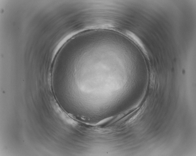 X0000066521340200603201314